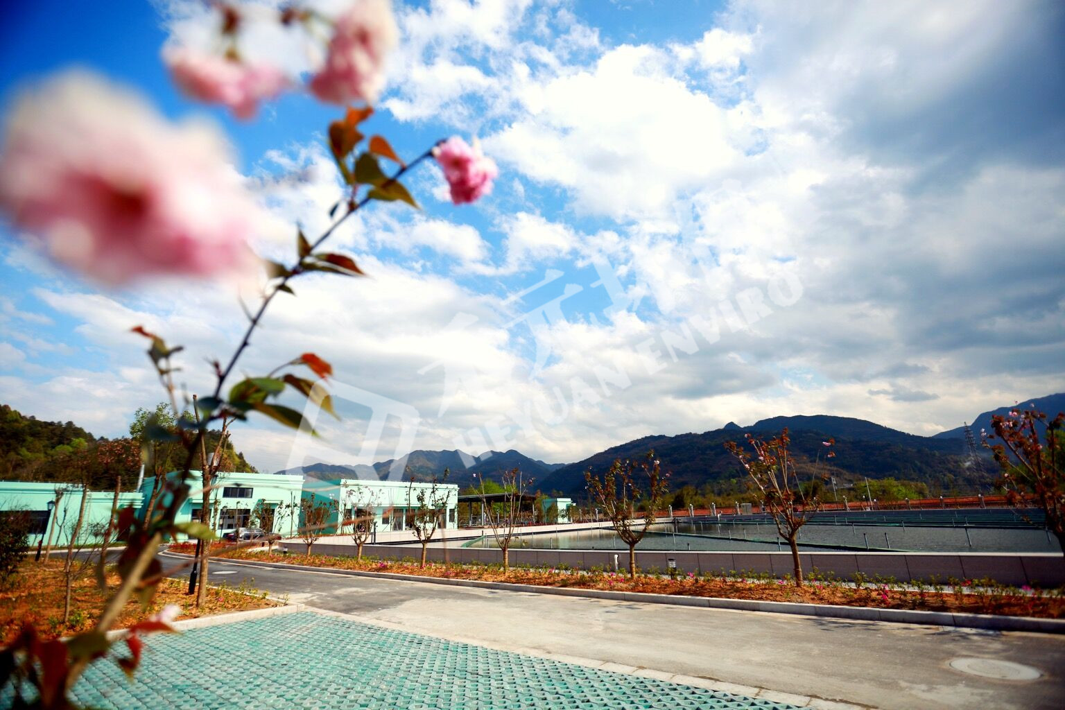 浙江省瑞安市高楼镇