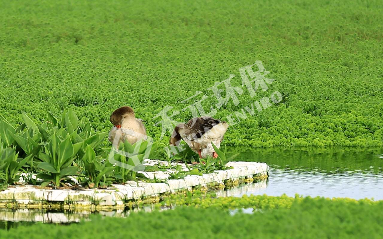 浙江省嵊州市三界镇(图1)