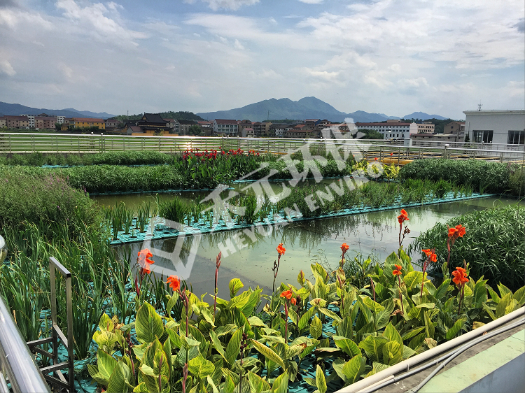 浙江省嵊州市三界镇(图2)